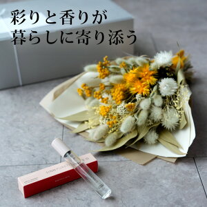 hCt[ ԑ u[P Mtg XbO  SINN PURETE Vse tOX F ~Xg Vzj JXj JtF e@ I[v v[g  lC CeA Ǐ 