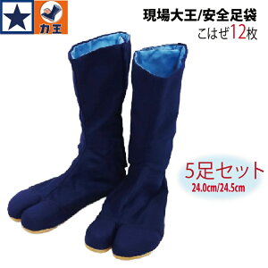 [Ey5ZbgzS ͉ 剤 ͂12 ƌC c  24.0 24.5