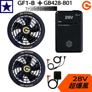 yoׁzy2025N28VΉzMWp 󒲃EFA obe[t@Zbg GB428+GF1 őo28V USBd e22000mAh MǑ΍ 􂢑Ήt@ dt@tƕ