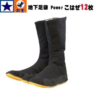 n ͉ 肫 JIKATABI ubN  E Ղ ߑ Ղ葫 Ղpi ƌC ~ v ₷ 23.0 24.0 24.5 25.5