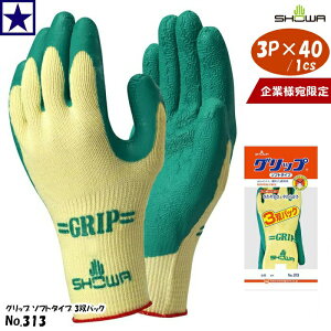 1cs3P×40Zbg 313 × 40Zbg 1cs Obv \tg^Cv 3opbN SHOWA Ɨl No.313 V[ V[O[u ɂ w R hL ʋC VRS S w CG
