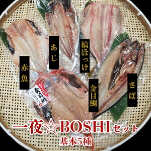 yBOSHIZbg { 5lߍ킹z ڑ   Ȃق  ԋ 5 銱 Zbg TCYZbg Ђ̃Zbg ^pbN   Ђ 񂹃O Mt