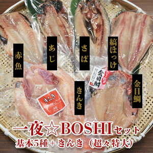 yBOSHIZbg {5lߍ킹{ X 600gz LL X ڑ  Ȃق  ԋ 銱 Zbg Ђ̃Zbg ^pbN   Ђ 