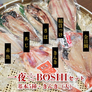 yBOSHIZbg {5lߍ킹{  250g z LL ڑ   Ȃق  ԋ 銱 Zbg Ђ̃Zbg ^pbN   Ђ 񂹃O M