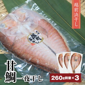 y 䌧Y Ñ 銱 260gO×3Zbg zÑ銱 zOl k zO ^pbN A}_C ܂ Â { Ⓚ Ñ⊱  Ђ 傢O 