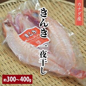 yJi_Y LL 銱  300`400gz g 銱  ECpbN CN   ߂ L`W g Ђ Ⓚ 񂹃O Mtg 蕨 ̓ ̓ 