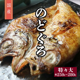 【国産のどぐろ】国産のどぐろ ( アカムツ) 一夜干し 特々大 約250g 〜280g 真空パック 冷凍 日本 高級魚 干物 ひもの お取り寄せグルメ ギフト 贈り物 父の日 母の日 お中元 お歳暮