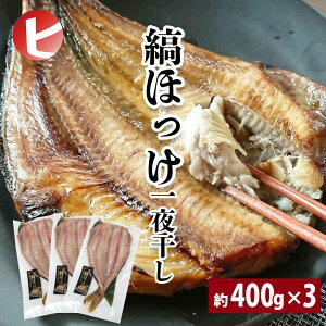 【送料無料 縞ほっけ 一夜干し 約400g×3尾】ほっけ ホッケ しまほっけ 3匹セット 真空パック 日本 冷凍 干物 干物 ひもの ちょい足しグルメ お取り寄せグルメ BBQ 父の日 母の日 敬老の日 お中
