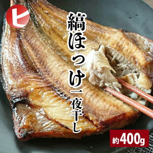 yȂق 銱 400gzق zbP ܂ق ^pbN { Ⓚ   Ђ 傢O 񂹃O BBQ ̓ ̓ hV̓  Ε j ۑH