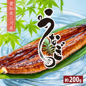yX󂯎FO͈FY Ȃɏ ĂV 1 ^t ƒp zĂ   200g   nȃg[pbN Y { Ȃ EiM V yp̉N ̉N Ⓚ