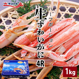 yo_Cz킢I n[t|[VJbgi菜ԁj 4R TCY 1kg Jj  킢 X?CJ?j Hׂ₷ ɓ ɂ ɂ ϔ肨Ε 