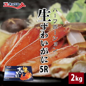 yo_Cz킢I n[t|[VJbgi菜ԁj  5R TCY 2kg ނg Jj  킢 X?CJ?j  ɓ ɂ hg Ⓚ 蕨 ϔ