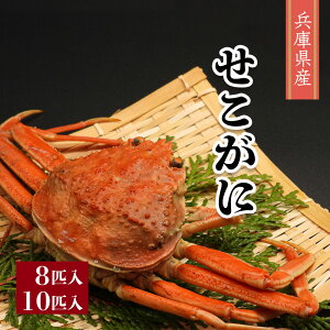 �y���ցI��������12�����܂ŁI�z �������� 8�C/10�C���� �q���� �Z�C�R�K�j �Z�R�K�j �������� �e���� �R�b�y�I �Y���C�K�j �I ���X