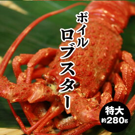 【ロブスター 特大 約280g】ボイル ロブスター 大 ボイルロブスター エビ 冷凍 ボイル済み お取り寄せ お中元 お歳暮 御膳 お重 おせち 敬老の日 父の日 母の日 クリスマス ビスク ホームパーティー 映え料理 豪華