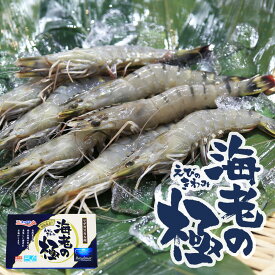 【送料無料 海老の極 特大 800g / 27尾入り】ブラックタイガー お刺身可 えびのきわみ 海老の極み エビの極み 極 極み えびの極み ブランドえび 極の海老 冷凍 生食用 高級エビ 高級料亭刺身用 お取り寄せ 食品 贈り物贈答 極洋 キョクヨー お中元 お歳暮 割引送料込み