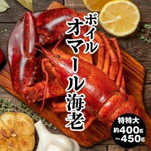 hV̓ɂ߁y Ji_Y I}[CV  400`450gz{CI}[CV Gr CN  I}[Gr uX^[ Ⓚ {C 䥂 {C z[p[eB[ 