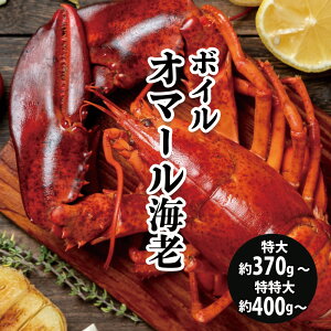 【カナダ産 オマール 海老 特大 特特大 約370〜450g前後】ボイルオマール海老 海鮮 オマール海老 オマールエビ ロブスター 冷凍 ボイル済み ホームパーティー お祝い 大きめ海老 クリスマス