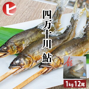 yl\Y l\  / 12 z ܂  1kg A  Y m {B 싛 Ⓚ  O p i  a  ~  Hi CN J j ʔ  i Ԃ 