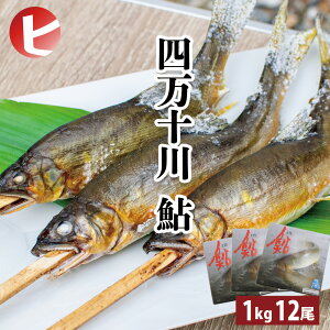 y l\  1kg / 12×3z ܂ƈ 1kg / 12 ×3Zbg 36 A  Y m {B 싛 Ⓚ  O p i  a  ~  Hi CN J 