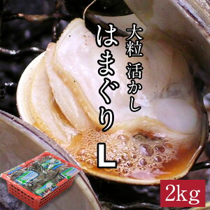 y嗱  ͂܂ Lz2kg n}O   ԃJS ~{͂܂ 40i1F50gjz X` q  lĂ J[ ς Ε ̓ ̓ hV