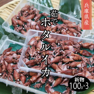 �������c�y�①�z���Ɍ� ���Z�Y �ق��邢�� 䥂łق��邢��100g �i��25�`35�C�j×3�p�b�N �`���h �u���� �z�^���C�J �{�C���ق��邢�� �{�C���z�^���C�J �u�C�J �{�C�� ���� ���{ �① ���傢