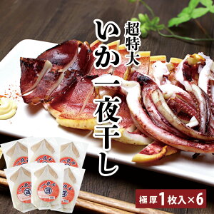 y1IɌ ̈銱 z X 1 ×6pbN  50cm CN ł CJ  銱  Ⓚ MtgΉ G ̍ }Y ̓ ̓  Ƃ͂