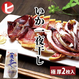 【大人気！ 極厚 いかの一夜干し 特大 2枚入り】海鮮 肉厚でもちもち イカ いか 一夜干し 烏賊 酒の肴 マルヨ水産 父の日 母の日 宅飲み お家ごはん BBQ お取り寄せグルメ ダイエット 冷凍 真空パック 贈り物 珍味 やみつき