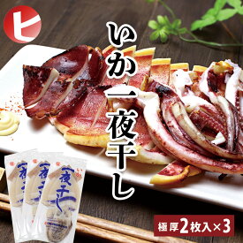 【大人気！！ 送料無料 極厚 いかの一夜干し 】 特大 2枚入 ×3パック 海鮮 肉厚でもちもち イカ いか 一夜干し 烏賊 酒の肴 マルヨ水産 父の日 母の日 宅飲み お家ごはん BBQ お取り寄せグルメ ダイエット 真空パック 贈り物 珍味 やみつき