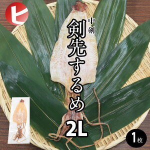 y悷 2L / 1z   2L 65gO 1 X    ߂ XCJ Xp CJ  G N _ _I [i n CJ  