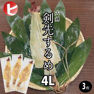 【送料無料 剣先するめ 4L / 3枚 】大剣 剣先 するめ 4L 約90g前後×3枚 スルメ あたりめ 寿るめ するめ…