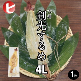 【剣先するめ 4L】大剣 剣先 するめ 4L 約90g前後 スルメ あたりめ 寿るめ 寿留女 するめいか スルメイカ スルメ姿 イカ いか 縁起物 神事 神棚 結納品 地鎮祭 高級スルメ お供え おつまみ 酒の肴 珍味 ちょい足し お取り寄せグルメ ダイエット 干物 まとめ買い