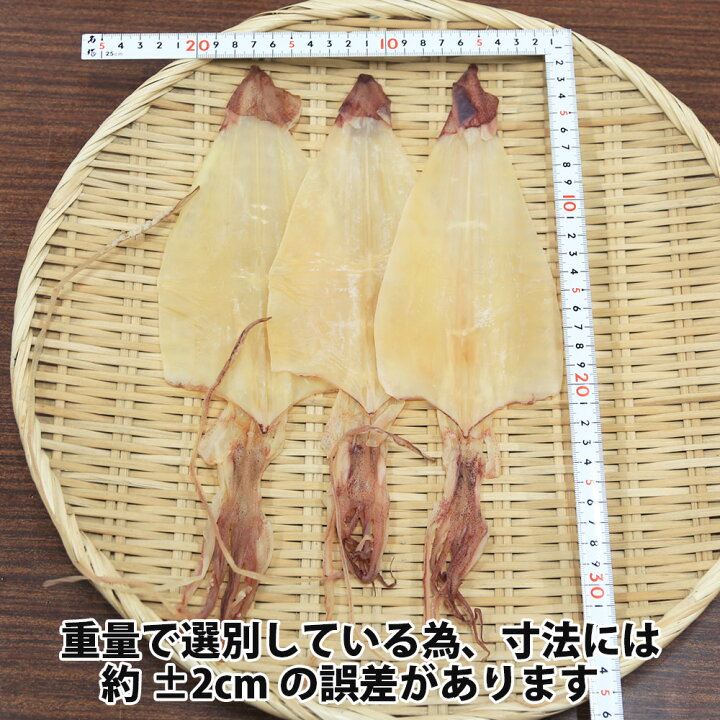 楽天市場】【剣先するめ M / 5枚 】中剣 剣先 するめ M 中剣 約35g前後 