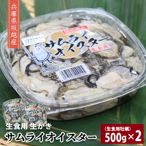 ҂܂y Ɍ zY TCICX^[ Hp 500g×2z  ނg y JL  hg H ԕ z d ˓ ɌY { Mtg ① CN 