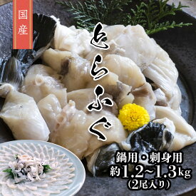 【送料無料】国産とらふぐ身欠 鍋用・刺身用身欠2尾入りセット 約1.2~1.3kg 真空パック とらふく トラフグ 河豚 てっちり てっさ ふぐ鍋 ふぐ鍋セット ふぐ刺し とらふぐからげ お取り寄せグルメ 贅沢グルメ 父の日 母の日 お祝い 贈答用 内祝い