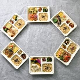 ととのう弁当 6食セット 冷食 弁当 ワンプレート 美味しい 冷凍弁当 セット 一人暮らし 無添加弁当 糖質制限食 お弁当冷凍食品 時短ごはん 時短料理 健康ご飯 低糖質食品 低糖質 簡単ご飯 お皿がいらない 冷凍食品 栄養 おかず 健康志向 ギフト 食べ物 簡単調理 レンチン弁当
