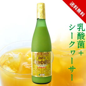 黄金の恵み シークワーサー 原液 ジュース ノビレチン ヘスペリジン ビタミンC 乳酸菌 オリゴ糖 酵素 四季柑 ピクノジェノール フラバンジェノール 松葉エキス 野草発酵エキス クエン酸 送料無料