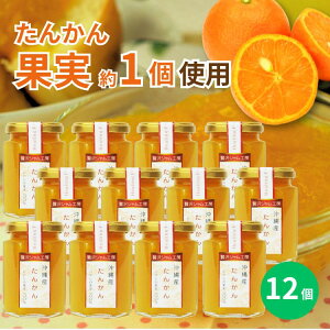 贅沢ジャム工房 たんかん 150g×12個セット 沖縄 人気 定番 土産 ジャム 贈り物 ギフト 送料無料 タンカン 果実まるごと 保存料不使用 着色料不使用 パンに合う