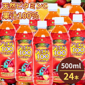 アセロラ100　500ml×24本セット　アセロラ　ビタミンC　ポリフェノール　ドリンク　ジュース　沖縄　土産　人気　定番 贈り物　ギフト　無添加　アセロラジュース
