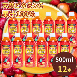 アセロラ100 500ml×12本セット アセロラ ビタミンC ポリフェノール ドリンク ジュース 沖縄 土産 人気 定番 贈り物 ギフト 無添加 アセロラジュース