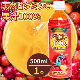 アセロラ100　500ml×1本　アセロラ　ビタミンC　ポリフェノール　ドリンク　ジュース　沖縄　土産　人気　定番 贈り物　ギフト　無添加　アセロラジュース