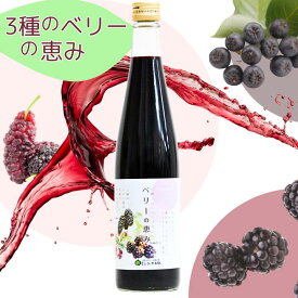 【3種のベリードリンク】ベリーの恵み ボイセンベリー アロニア 桑の実 マルベリー シークヮーサー 飲料 ドリンク ジュース アントシアニン エラグ酸 ビタミン