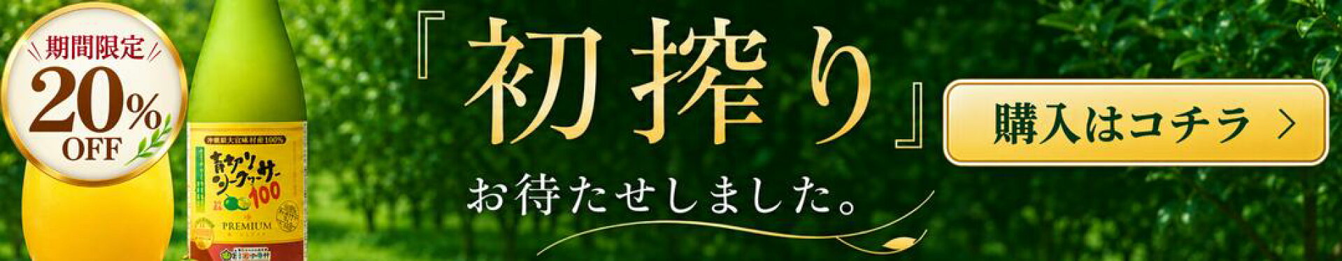 初搾り20％OFF