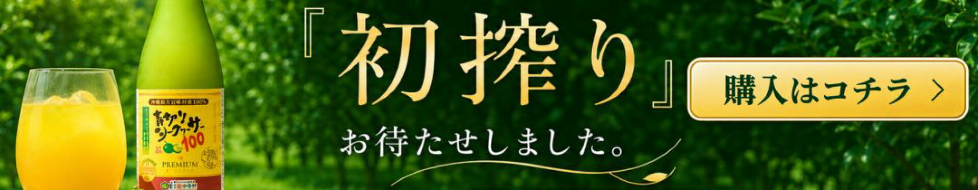 初搾り