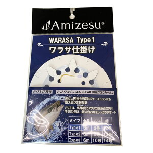 y10CpostzAmizesu Td| 6m Type1 j12 nX6(ami-911657)bV}AWd| V}AWj V}AWނ Dd|