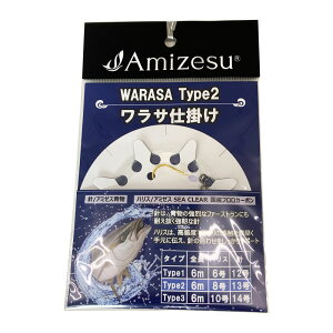 y10CpostzAmizesu Td| 6m Type2 j13 nX8(ami-911664)bV}AWd| V}AWj V}AWނ Dd|