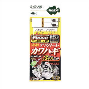 y20CpostzTT FSM25 DAX[gJnM3{b (TCtbfR[g)(sasame-fsm25)