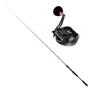 CgQ[ɍœK SPDFT500 C10-205 FujiSICKCh CgQ[gK[^Cv  SeaMastug Digital300P PEC2200mt (ori-funeset460)bCgܖ \D AWނ oނ CTLނ 