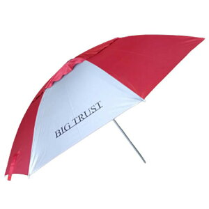 ダイシン ビッグトラスト パラソルストレート 100(daishin-734177)|ヘラブナ用品 ヘラパラソル パラソル ヘラブナ へらぶな 釣具 おり釣具