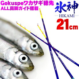 【Cpost】Gokuspe ワカサギ替え穂先 氷神-HIKAMI- 21cm(goku-hikami21)｜わかさぎ ワカサギ 竿 ロッド 穂先 山中湖 ドーム 入鹿池 桧原湖 野尻湖 岩洞湖 川 河 渓流 湖 池 淡水 魚 ワカサギ 穂先 釣り 釣具 道具 ドーム船 遠里 おり クリスティア