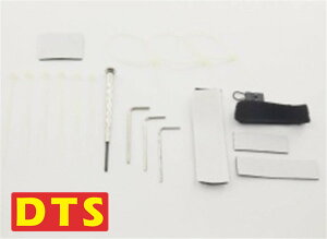 yCpostzDTS 300  Zbg (DTS004050) ORI RC WR wRv^[